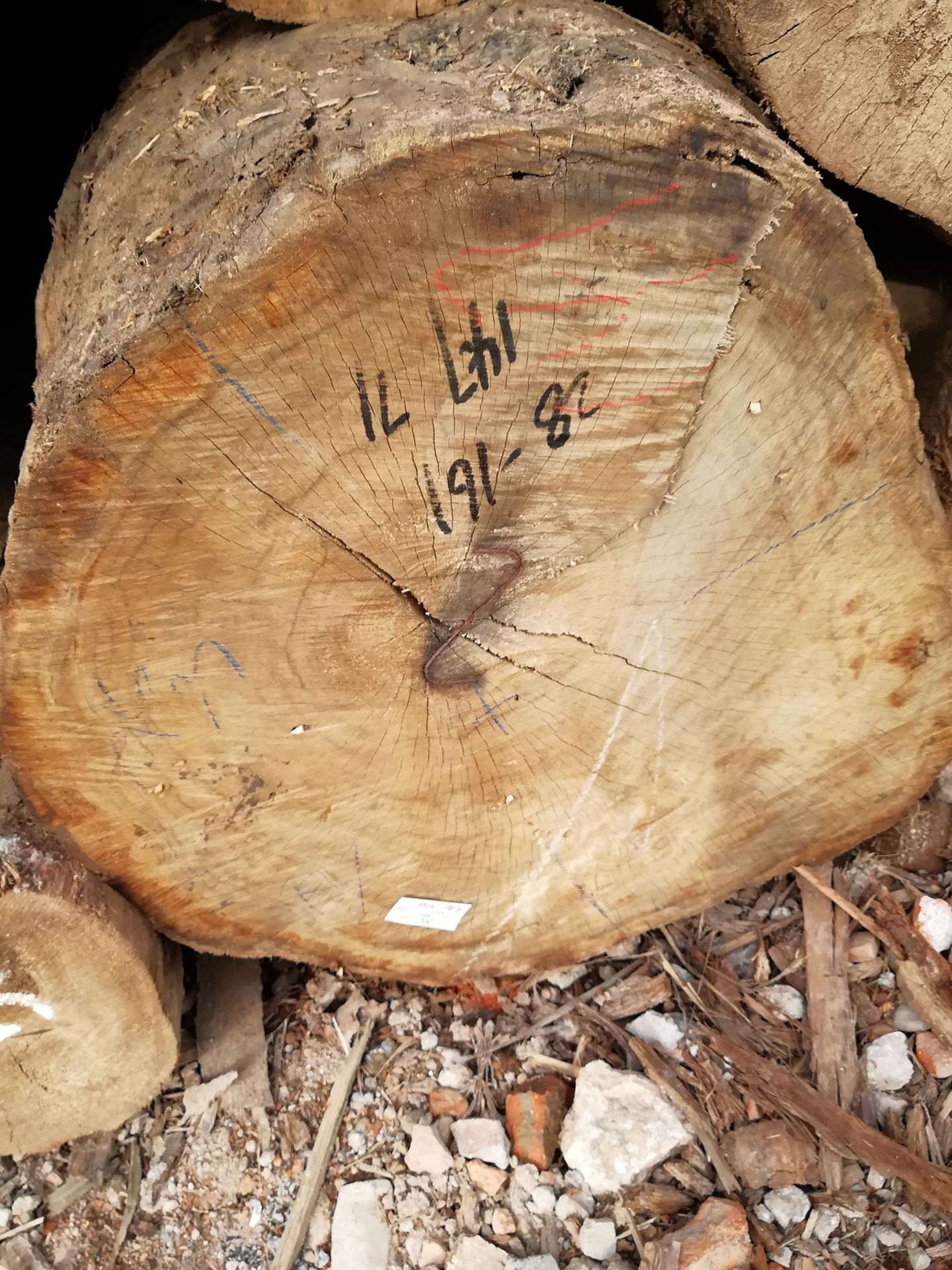 低价杂木(mw)软质白色,适合包装箱用材