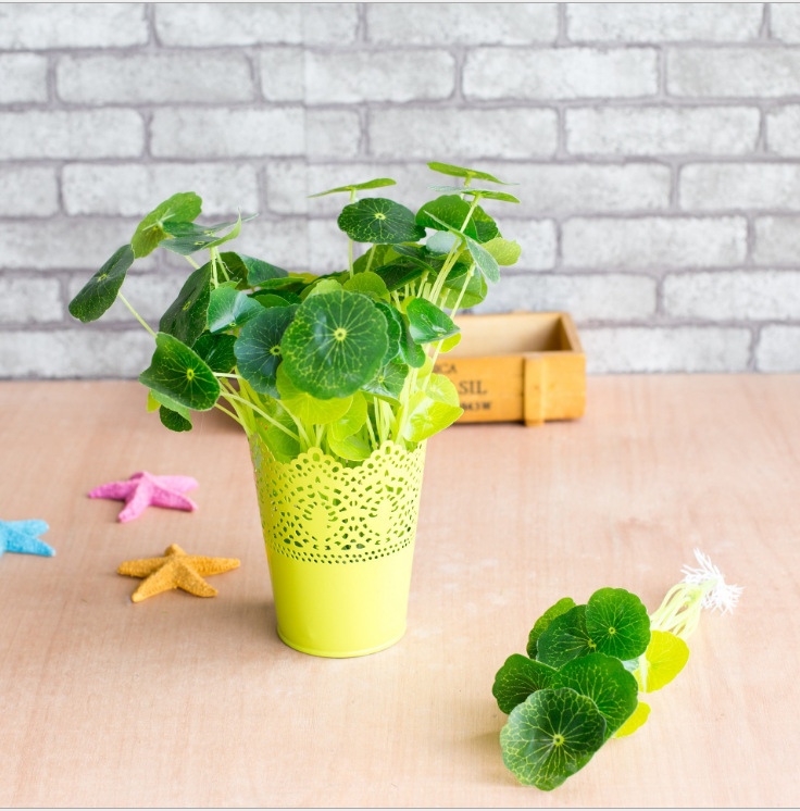 铜钱草/小荷叶也为我们博得一个好彩头,此款为高仿真度小型款式,适合