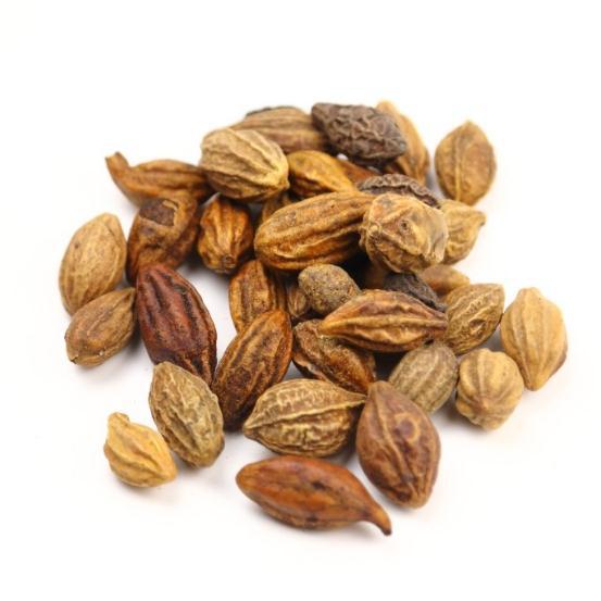 诃子汉服大金果诃子肉中药材批发