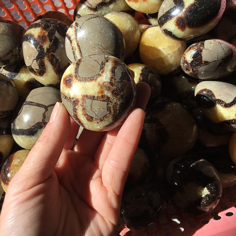 天然龟背石原石把玩件 龟背石家居摆件