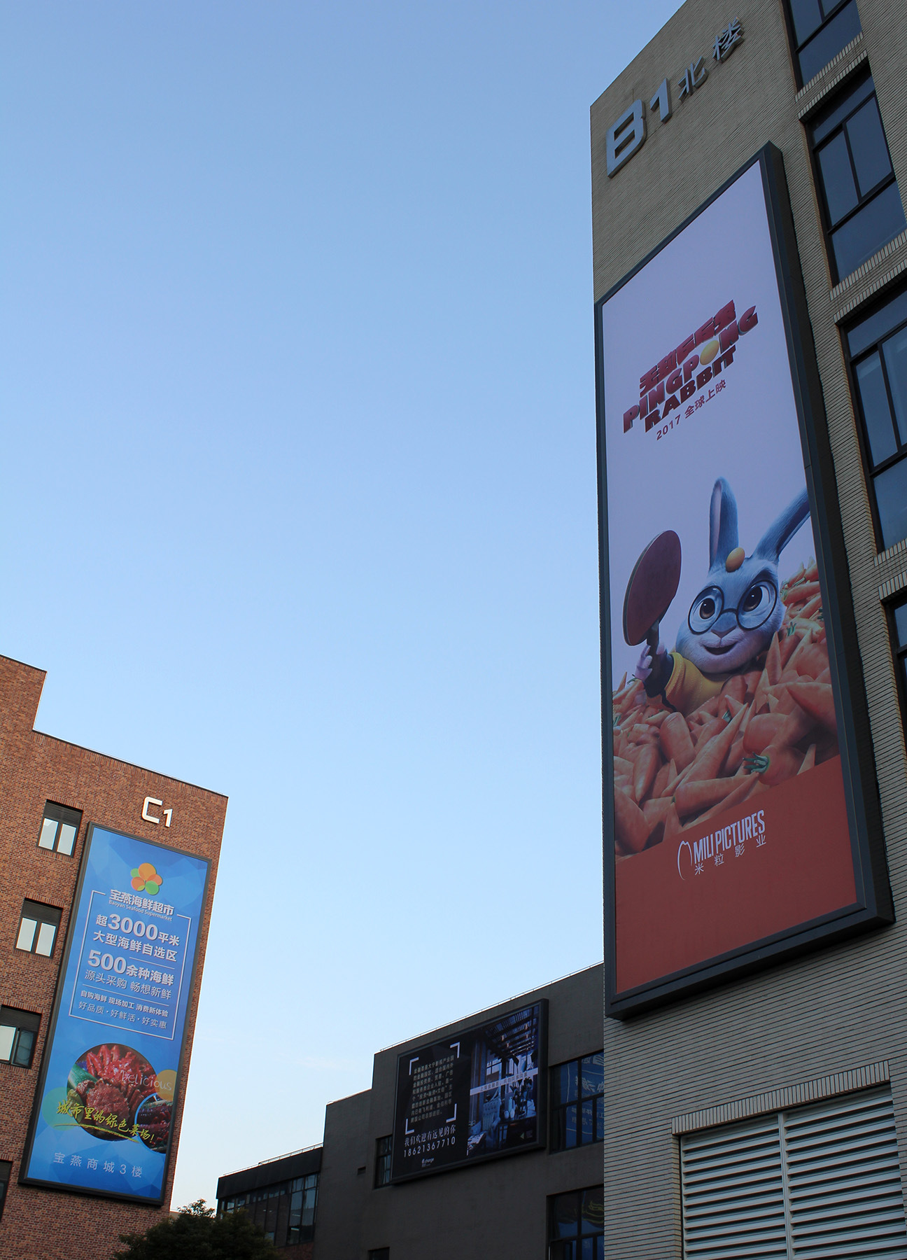 专业定制灯箱工程-商场户外铝合金招牌广告灯箱