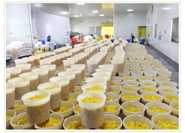 散装批发 中,小条芒果干 果脯零食可oem代加工水果干蜜饯500克