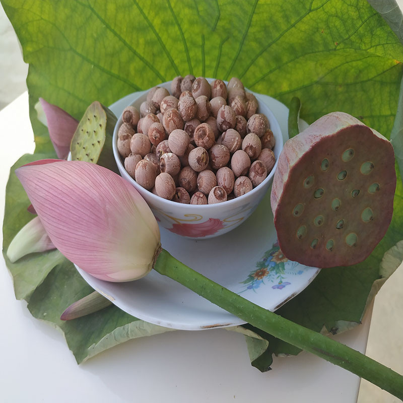 湖南湘潭莲子干货 有心红莲子 有芯红皮莲子带芯湘莲子米批发