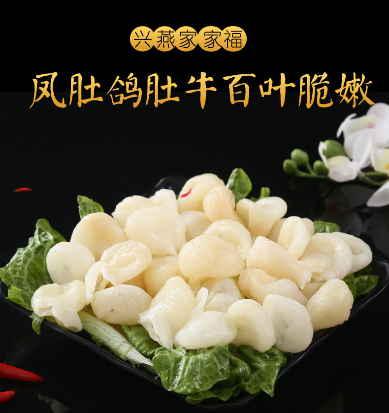 新鲜凤肚 鸽肚 四川火锅串串 冷冻食材 水产批发 量大从优 兴燕