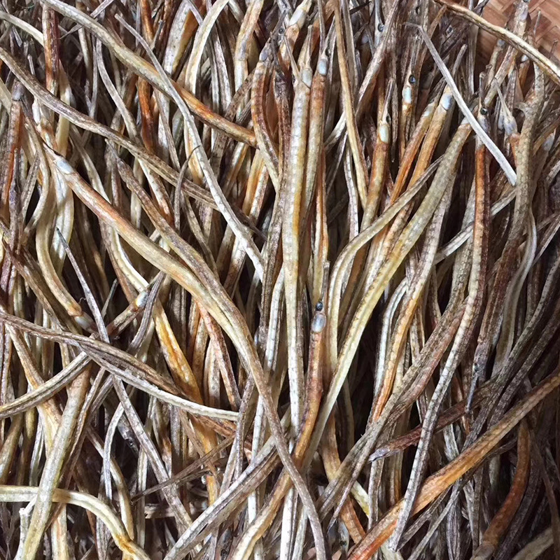 小海龙 中药材海龙 海马 海龙干 散装批发海龙鱼钱串子泡酒料