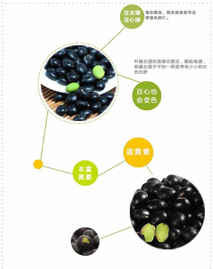 农家新品2017年 黑豆 大黑豆 农产品 批发绿心大黑豆 黑大豆25kg