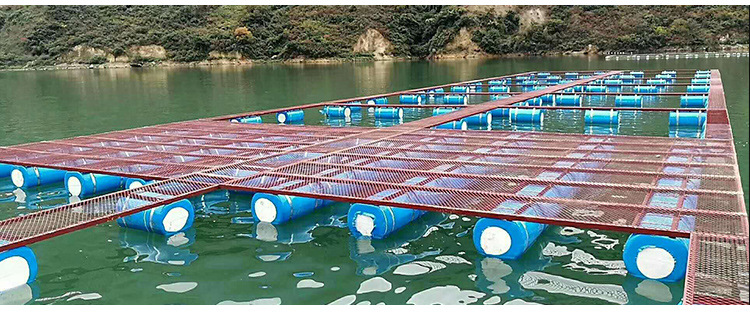 厂家定做淡水养殖网箱 鱼苗虾网箱价格 水产养殖网箱价格批发