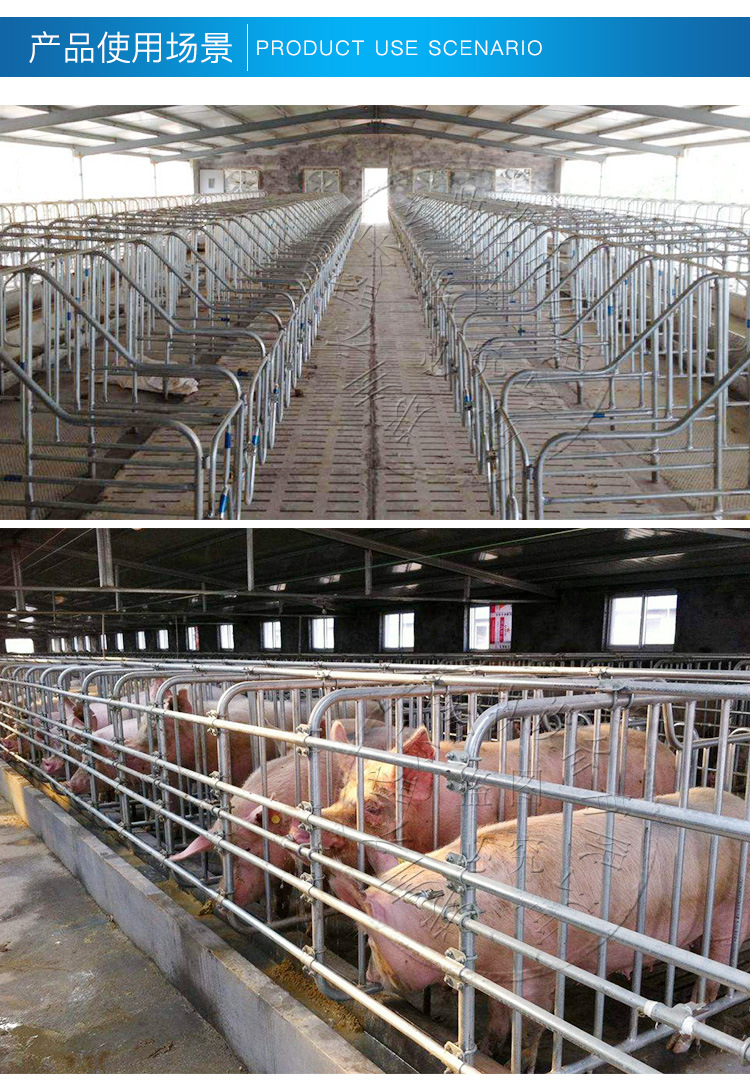 母猪定位栏怀孕猪用定位栏热镀锌公猪限位栏母猪产床配件养猪设备