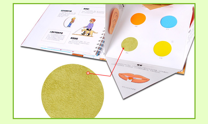 我们的身体 乐乐趣立体书 3d高端童书触摸书儿童早教 翻翻书绘本