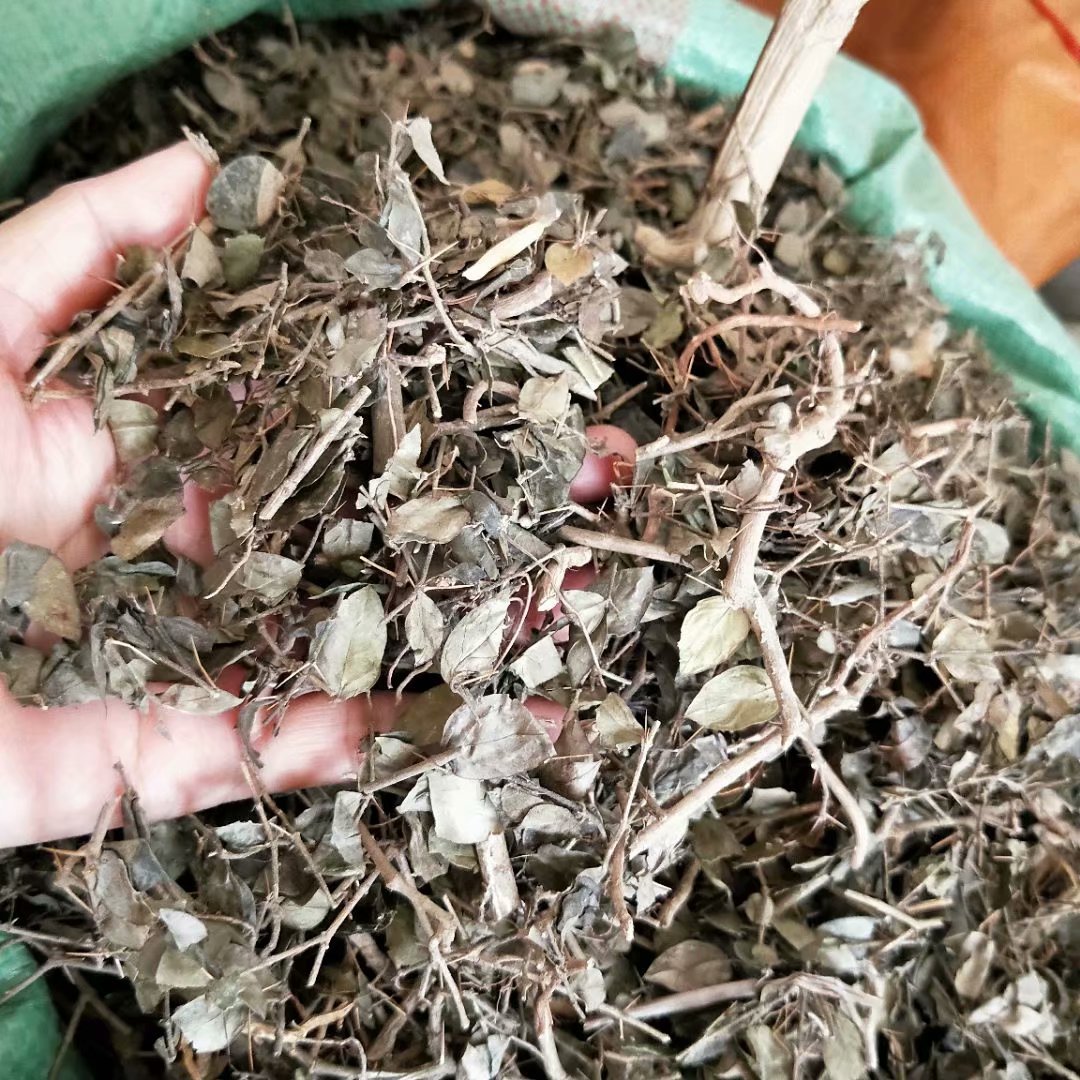 中药材绣花针虎刺伏牛花寿星草每件500克