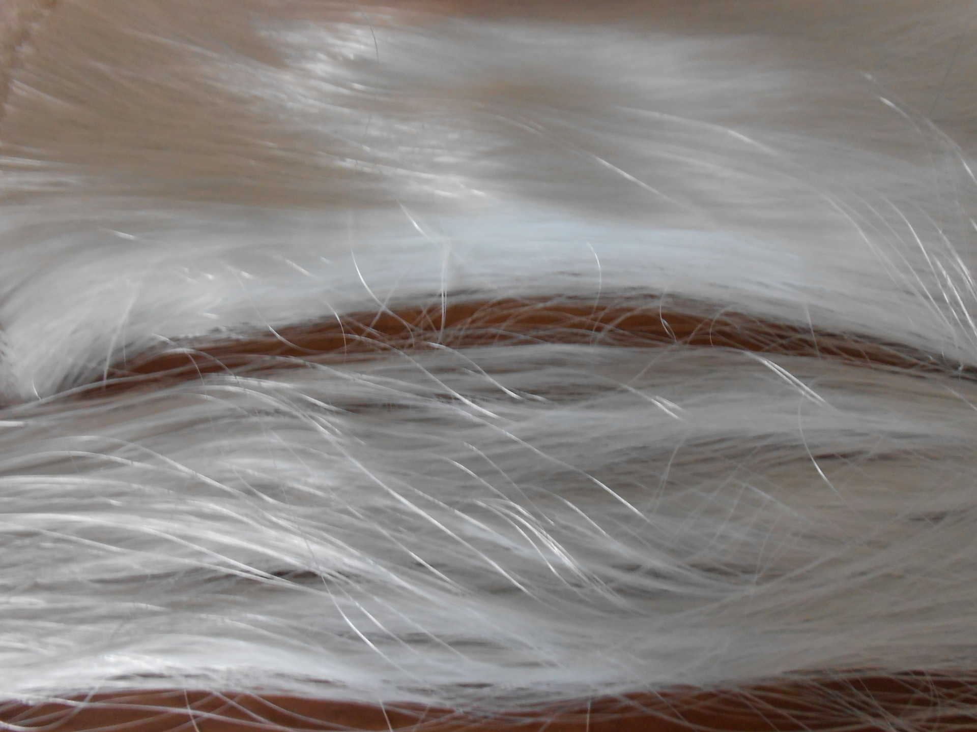 玻璃纤维丝用于石膏线条,分散性好 短切纱 短切丝