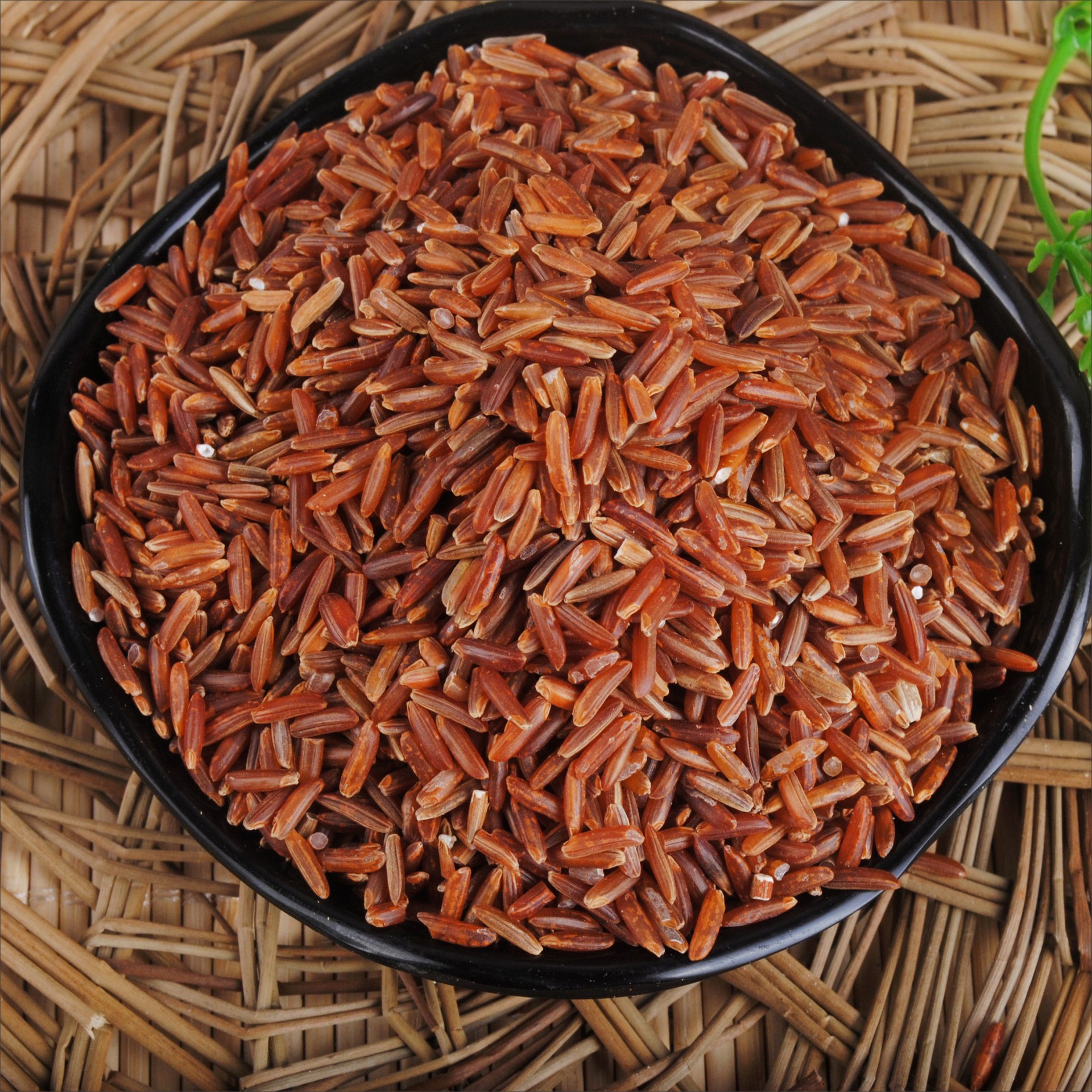 供应 优质红米农家自产红糙米五谷杂粮红稻米红大米红梗米袋装.