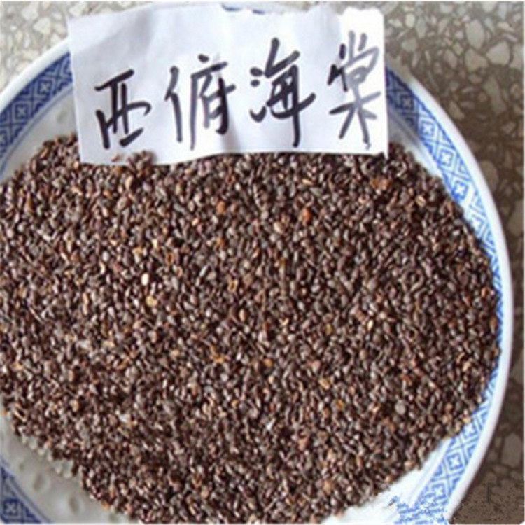 批发四季花卉八棱八角海棠 垂丝海棠西府海棠种子海棠花 海棠种子