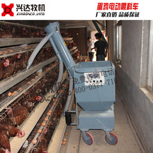 肉鸡半自动喂料机 镀锌板耐腐蚀 自动化养鸡设备厂家直销