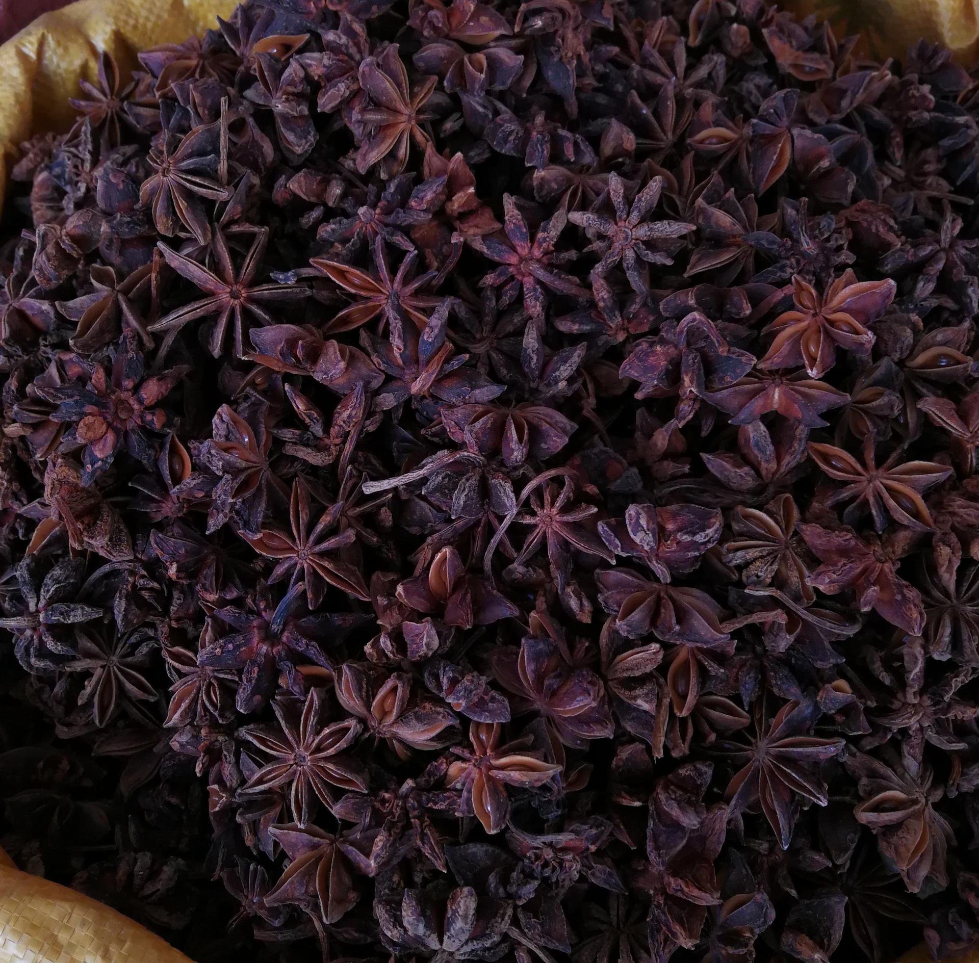 八角 大红八角 批发广西大红八角 大茴 八角茴香 大料 量大从优