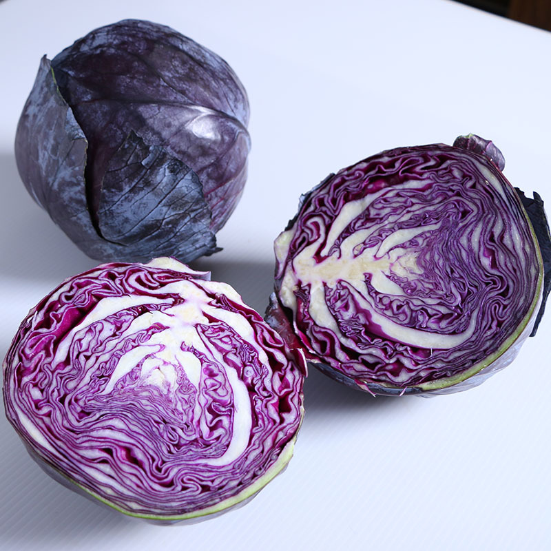 北京紫甘蓝-北京紫甘蓝厂家,品牌,图片,热帖-阿里巴巴