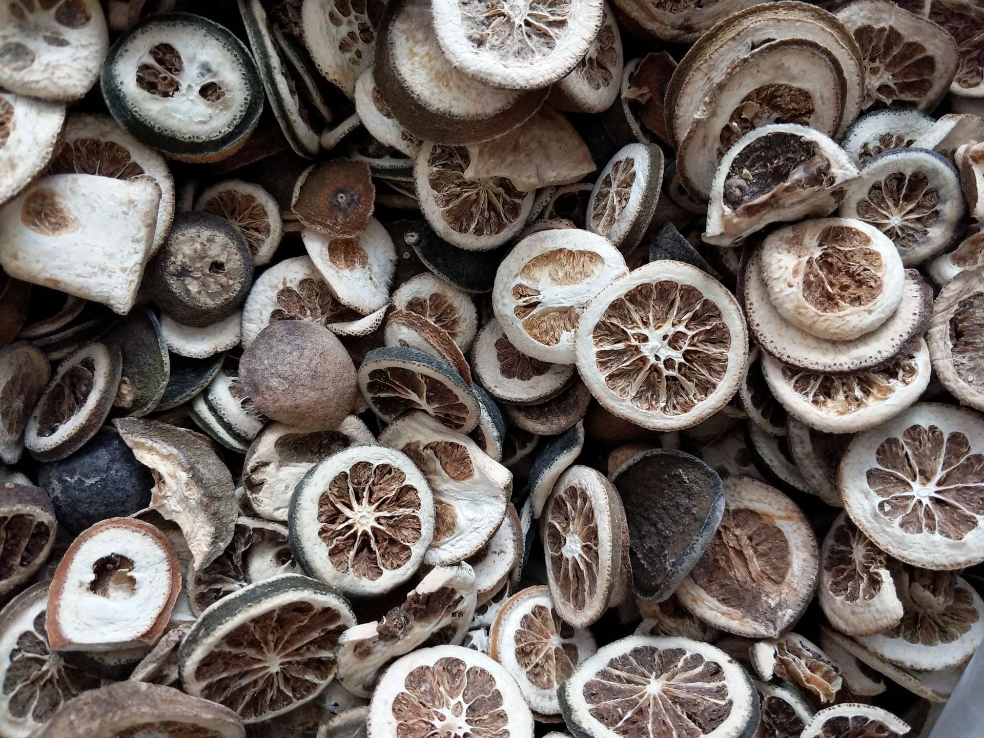 批发枳壳 积壳 等中药材 量大从优