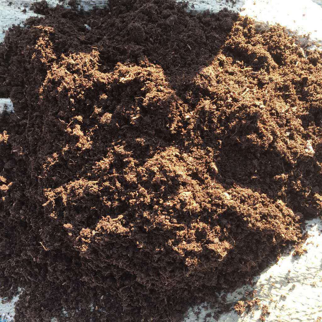 厂家批发瓜果蔬菜育苗基质营养土 花卉插扦基质盆 草莓育苗栽培