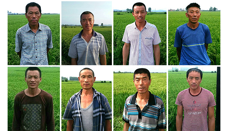 稻花香大米_友才2019年新米东北黑龙江五常稻花香二号