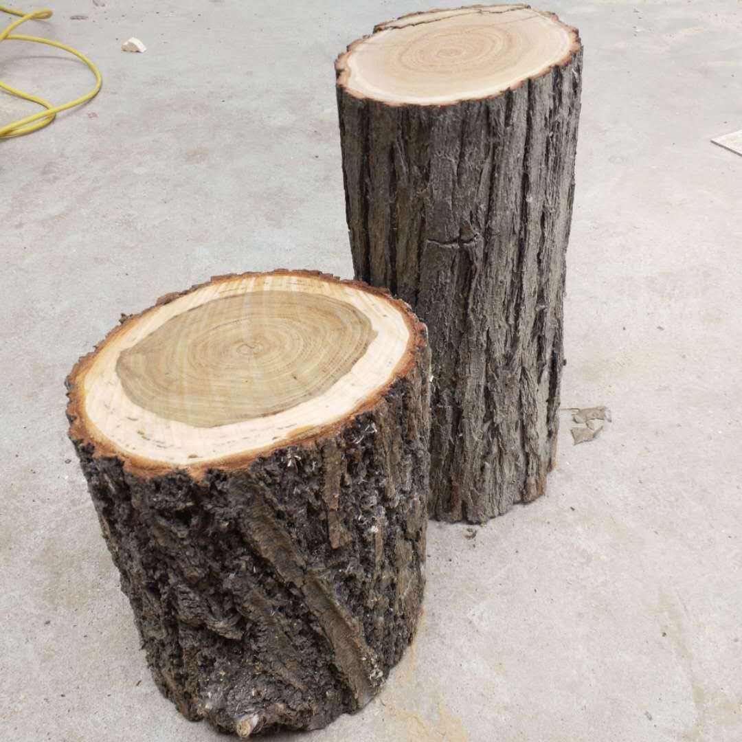 空心树桩假树桩树桩墩子凳子年轮圆树桩尺寸diy摄影厨窗摆放