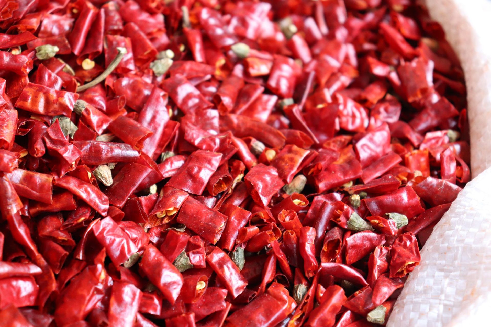 批发干辣椒段 特辣印度魔鬼椒辣椒段散装500g 去籽暴辣火锅底料