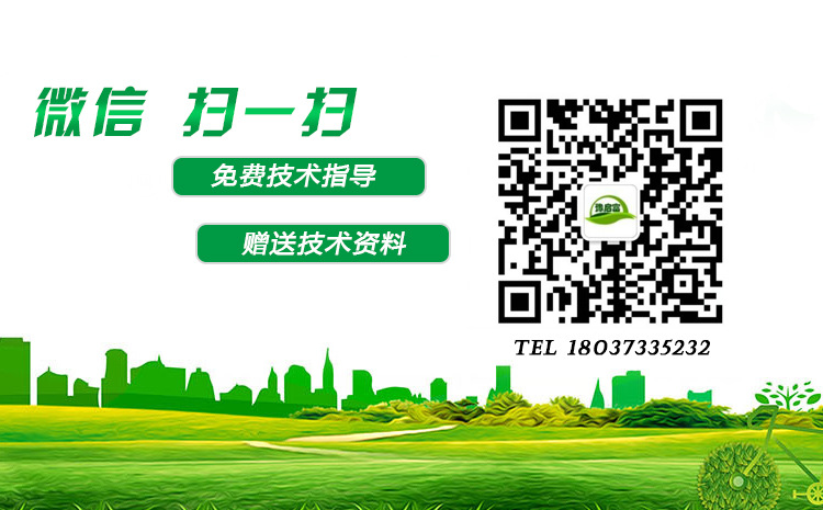 ���Ҷ�ά��