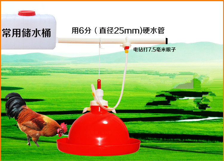 养鸡用自动饮水器饮水壶沪式普拉松鸡鸭鹅喝水壶畜禽养殖饮水器