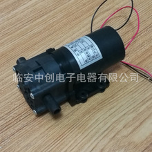 中创24v760微型水泵净水器增压水直流齿轮泵耐腐油泵罐装泵热水泵