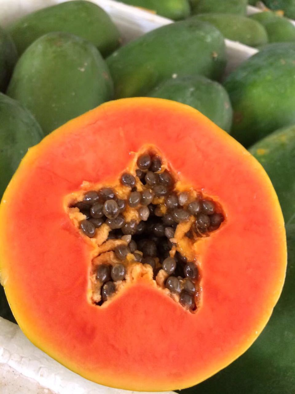 海南红心木瓜 一件代发 冰糖牛奶木瓜 9斤