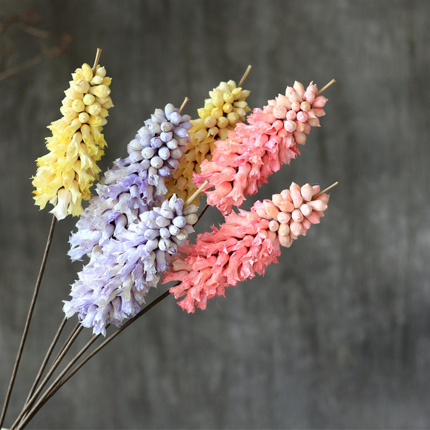 鲁冰花植物干花手工制作艺术家居家饰干花干果干枝花束