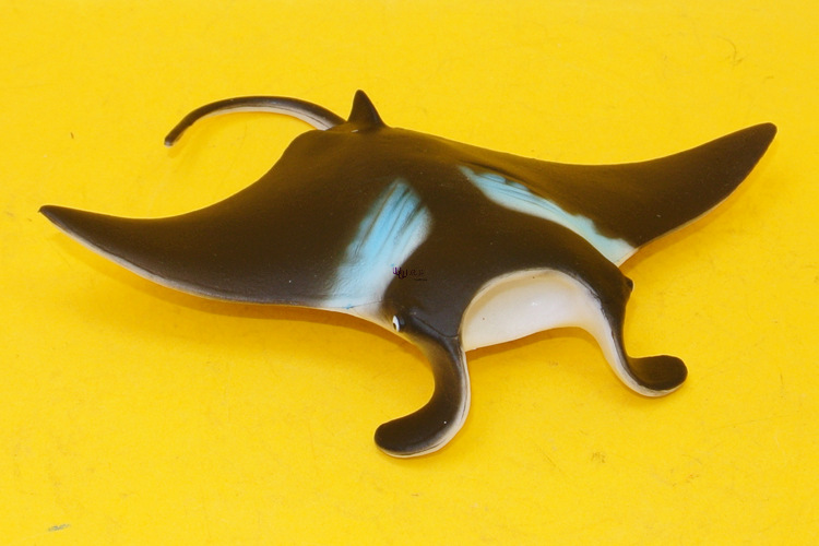 海洋生物 新款 蓝色小魔鬼鱼 蝠鲼鱼 仿真海洋动物模型 海底总动