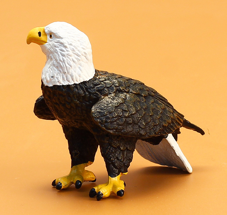 跨境精品实心动物玩具 老鹰 仿真鸟类白头鹰手办模型 儿童早教