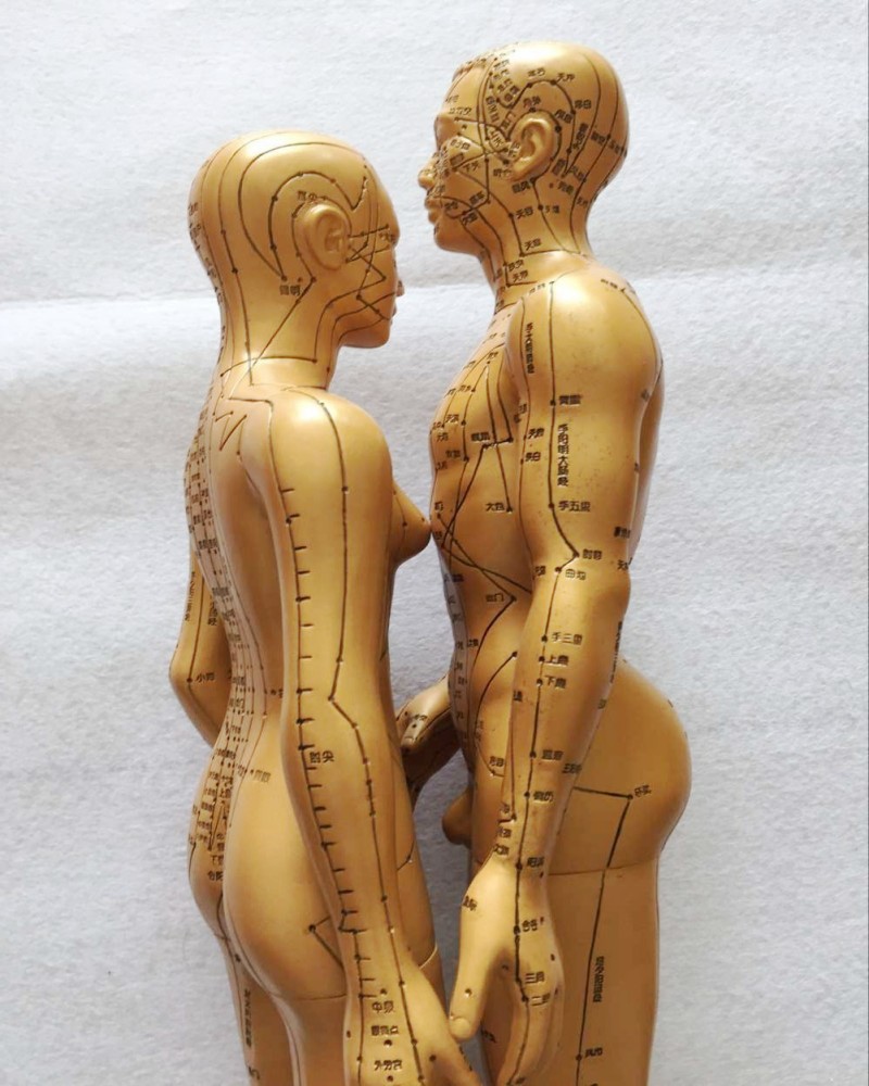超清晰上海经络通人体穴位模型针灸铜人模型经络按摩模型男女小人