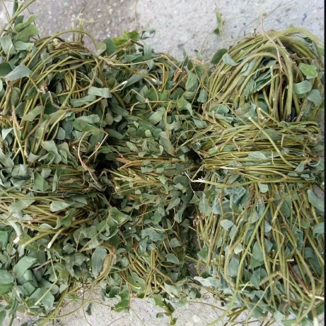 中药材鸡骨草带叶鸡骨草扎把每件500克