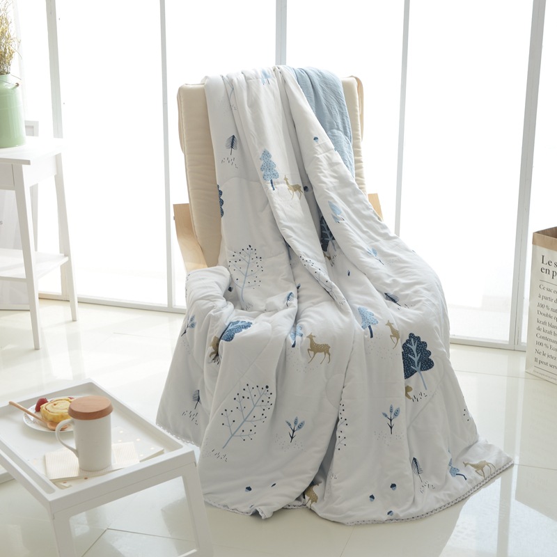 INS Wholesale Washed Brushed Gift Summer Blanket Cartoon Lace Airable Cover Quilted Feather Silk Floss Student Summer Quilt