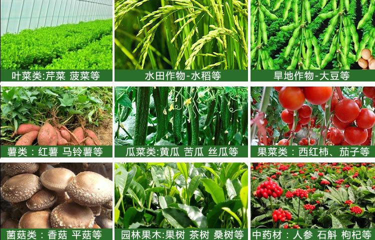 种植EM菌液