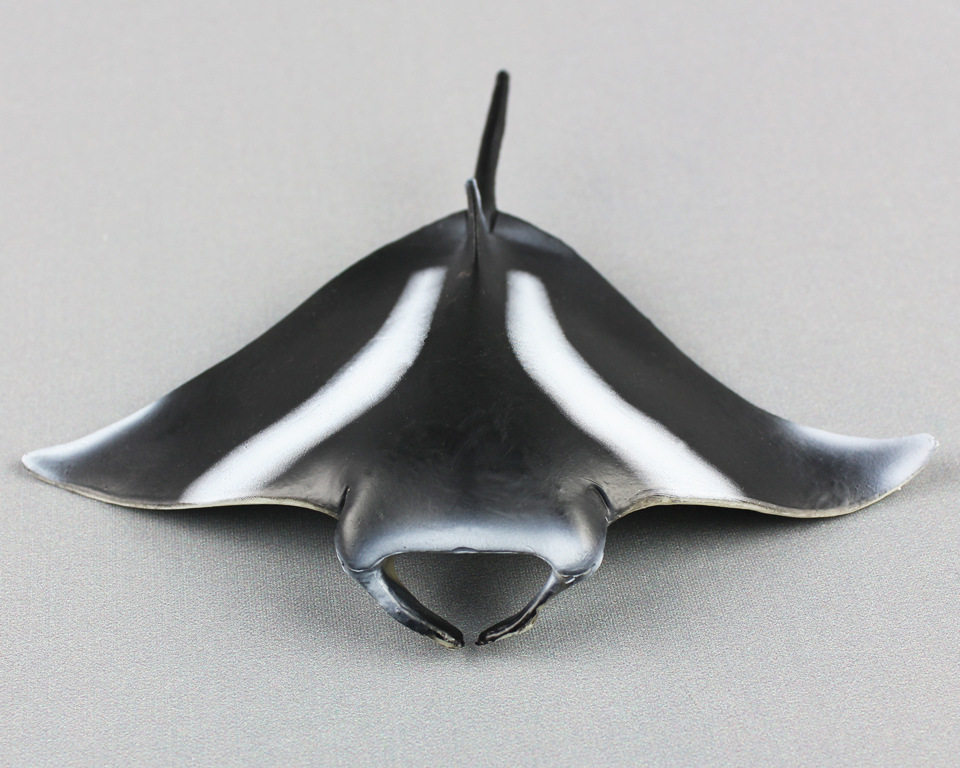 海洋生物模型魔鬼鱼蝠鲼儿童仿真静态塑胶实心动物玩具外贸货源