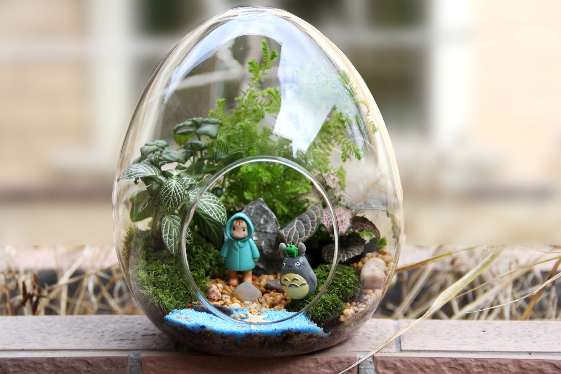 苔藓微景观 创意礼品摆件 绿植 苔藓瓶生态瓶 蛋形瓶植物 小世界