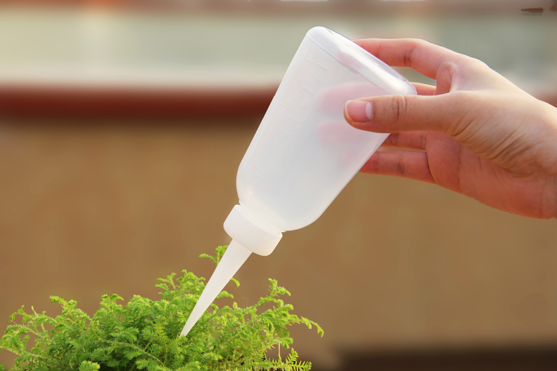 微景观制作工具直嘴浇水瓶滴水瓶 挤压式点滴瓶250ml 浇水瓶