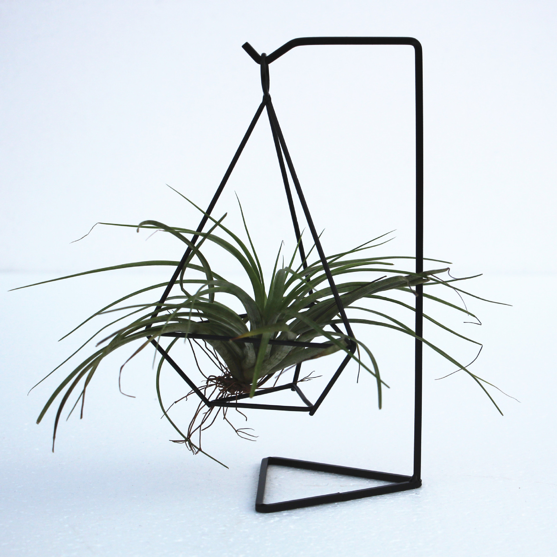 厂家批发 空气凤梨植物铁架花托 几何铁艺三棱四棱钻石空凤架子