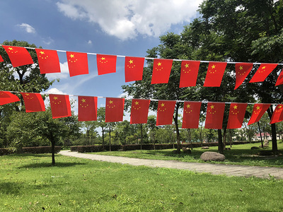 批发8号中国小旗串旗 超市商场节日装饰串旗装饰品吊旗户外厂家