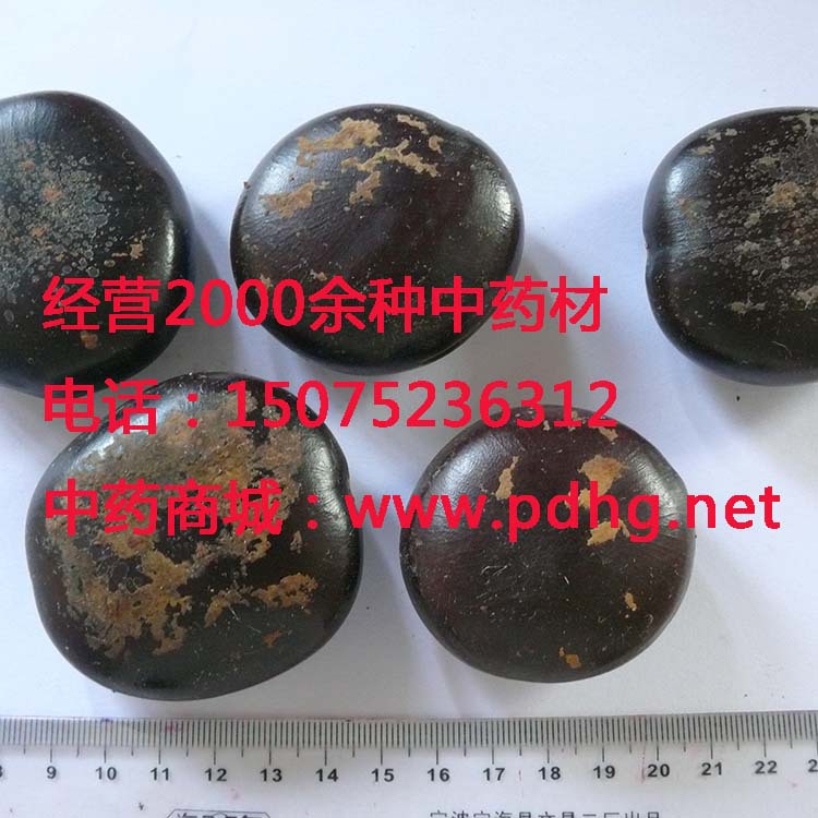 过江龙子,九龙藤子,批发中药材豆科植物九龙藤的种子-阿里巴巴