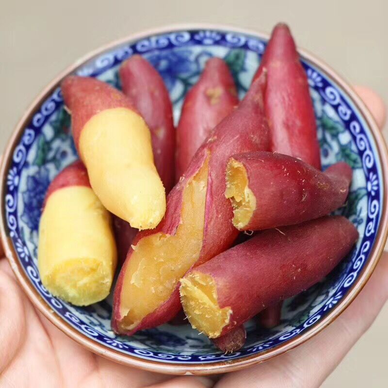 海南小香薯 5斤装 蜜薯类板栗黄心红薯天目紫薯小番薯团购代发