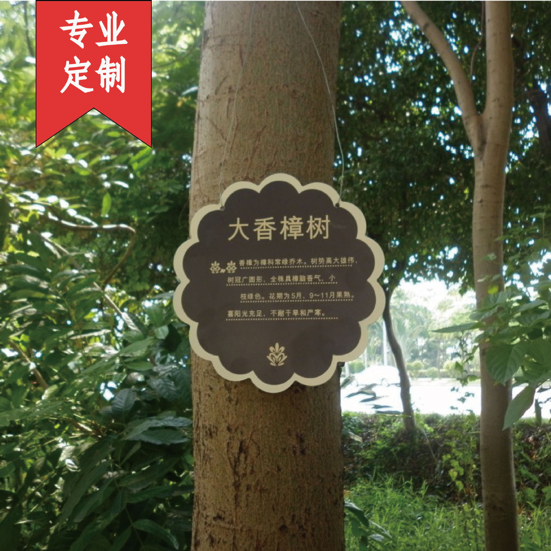 不锈钢树牌树名牌二维码介绍定做树木介绍牌树木名称标识标牌厂家