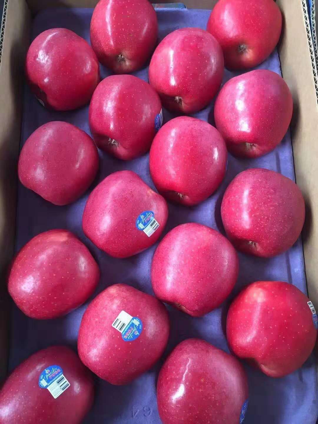 新西兰美国红玫瑰168皇后品种苹果新西兰苹果美国红苹果时令水果