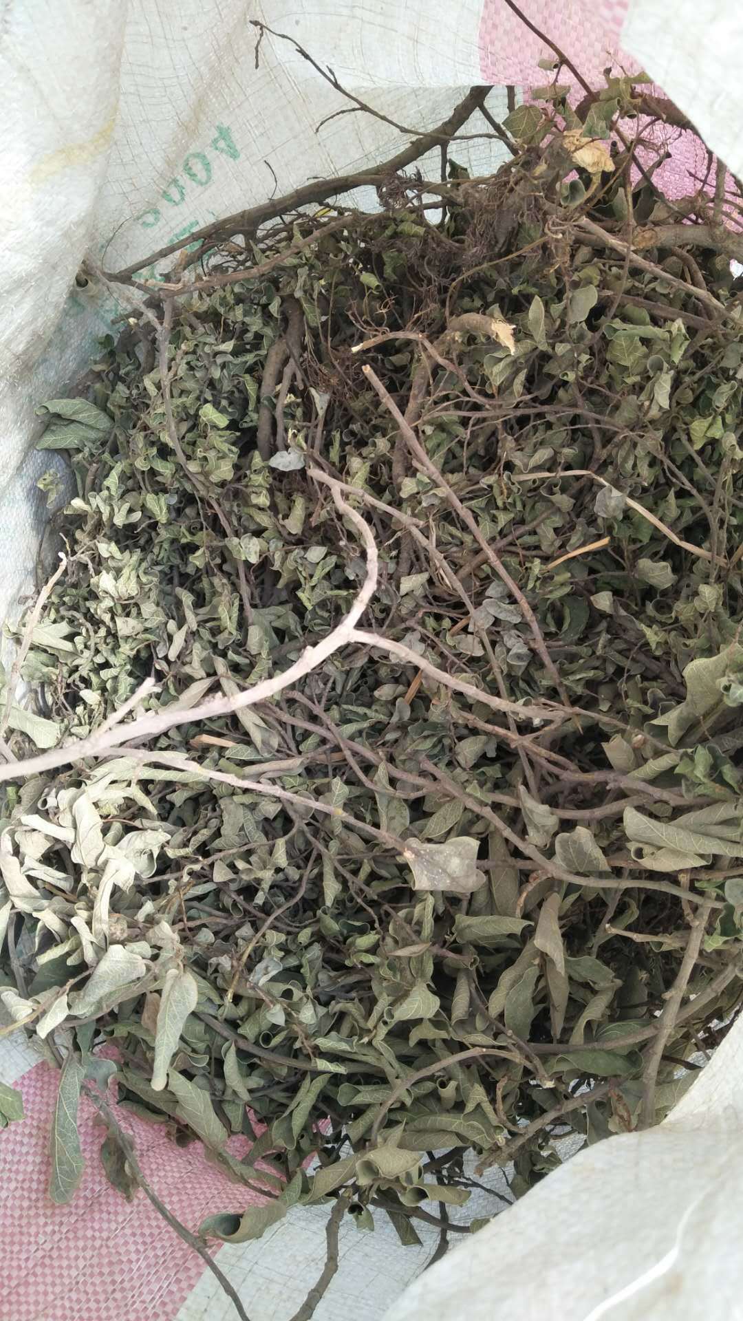 野生中药材 薜荔藤 凉粉藤 木莲藤 木馒头藤茎叶 切段子 干货