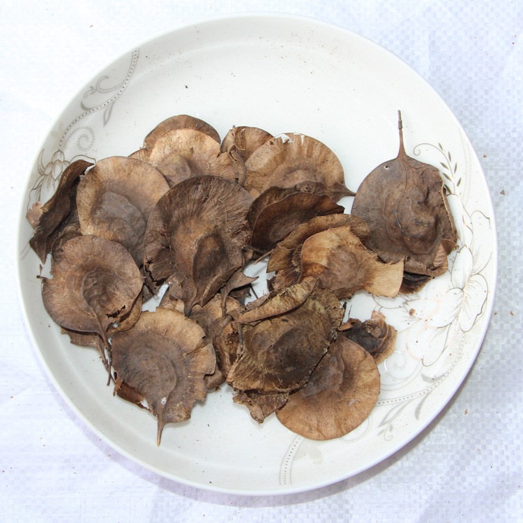 紫檀新采印度小叶紫檀种子 印度紫檀木种子 檀香紫檀种子 包发芽