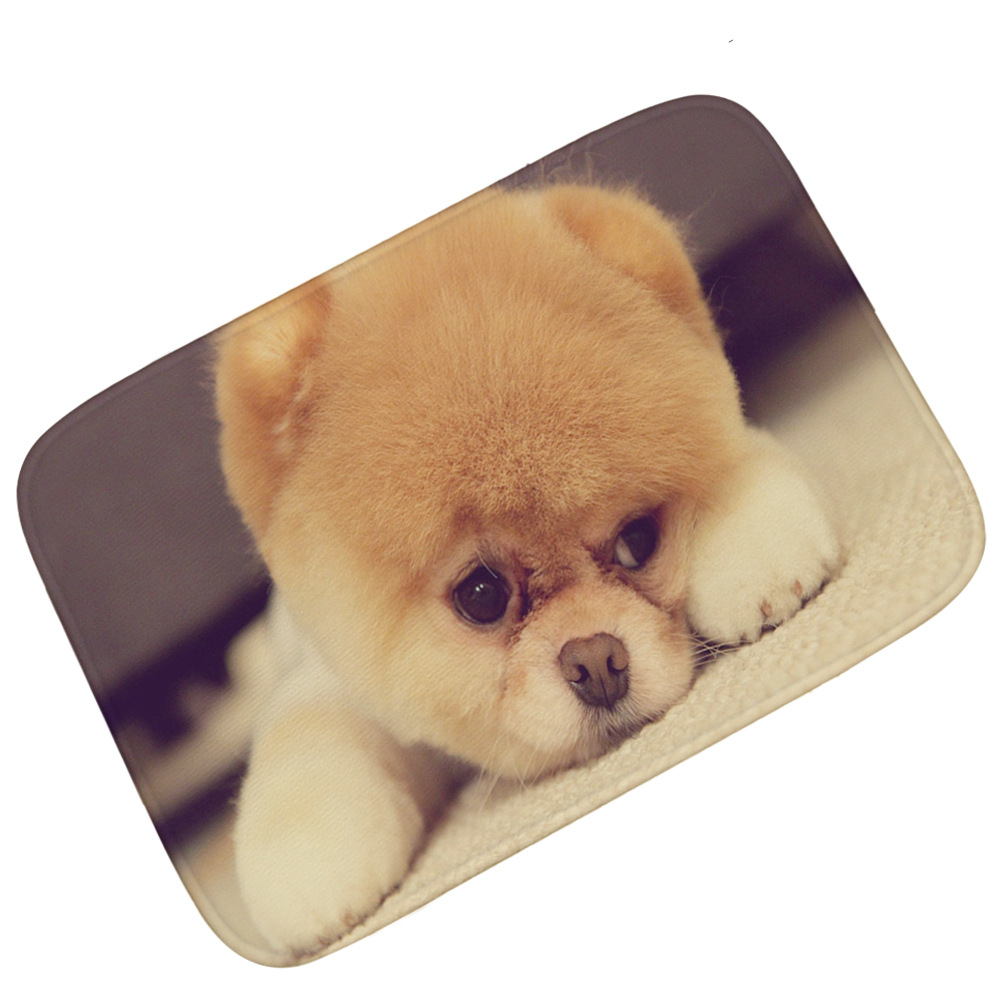 受气包 动物法兰绒入门垫吸水防滑 客厅卧室儿童床边地毯地垫定做