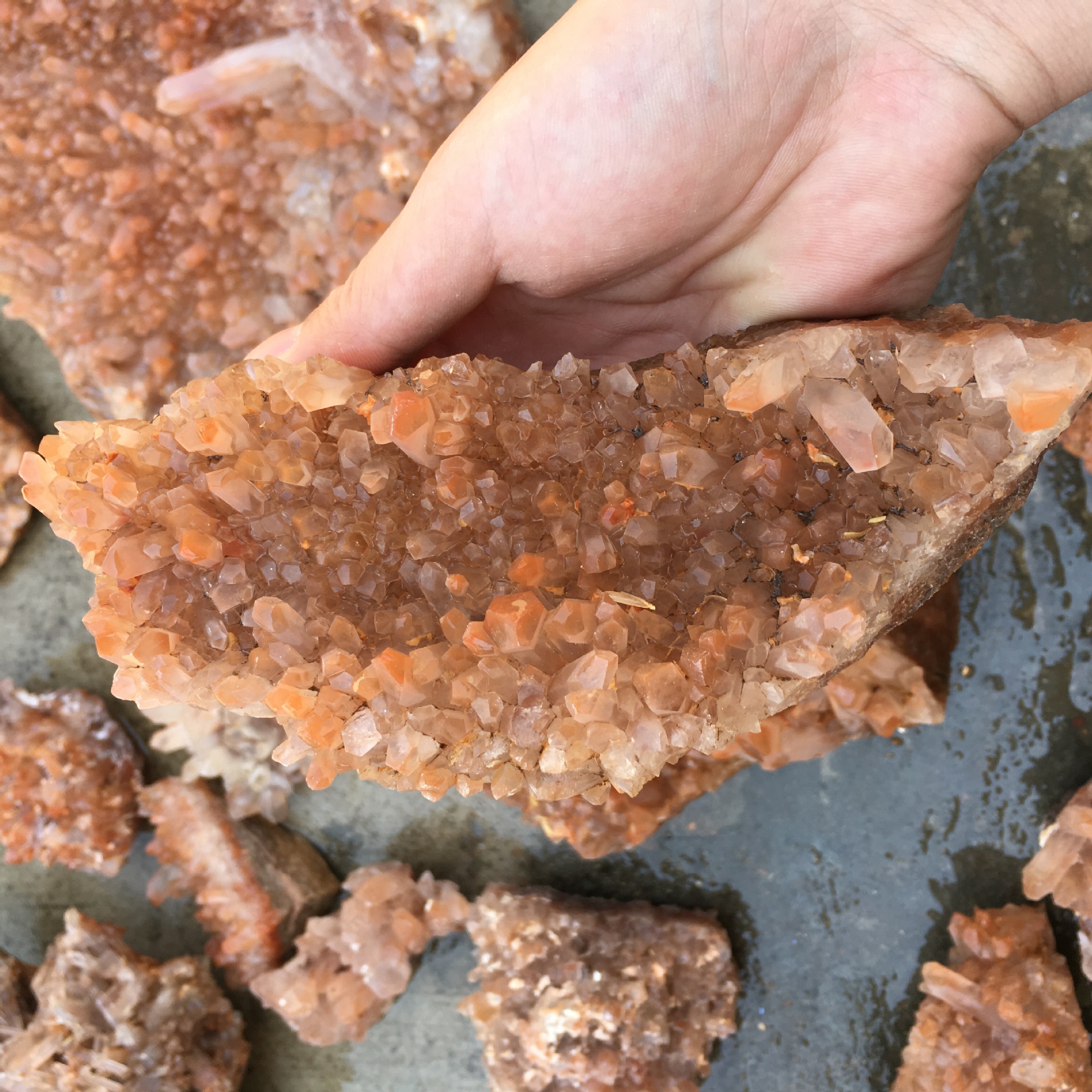 天然红水晶晶簇摆件 原石矿标 家居摆件办公装饰 产地直销