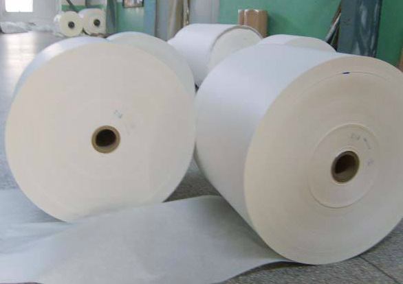 【知识点】关于石头纸你应该知道